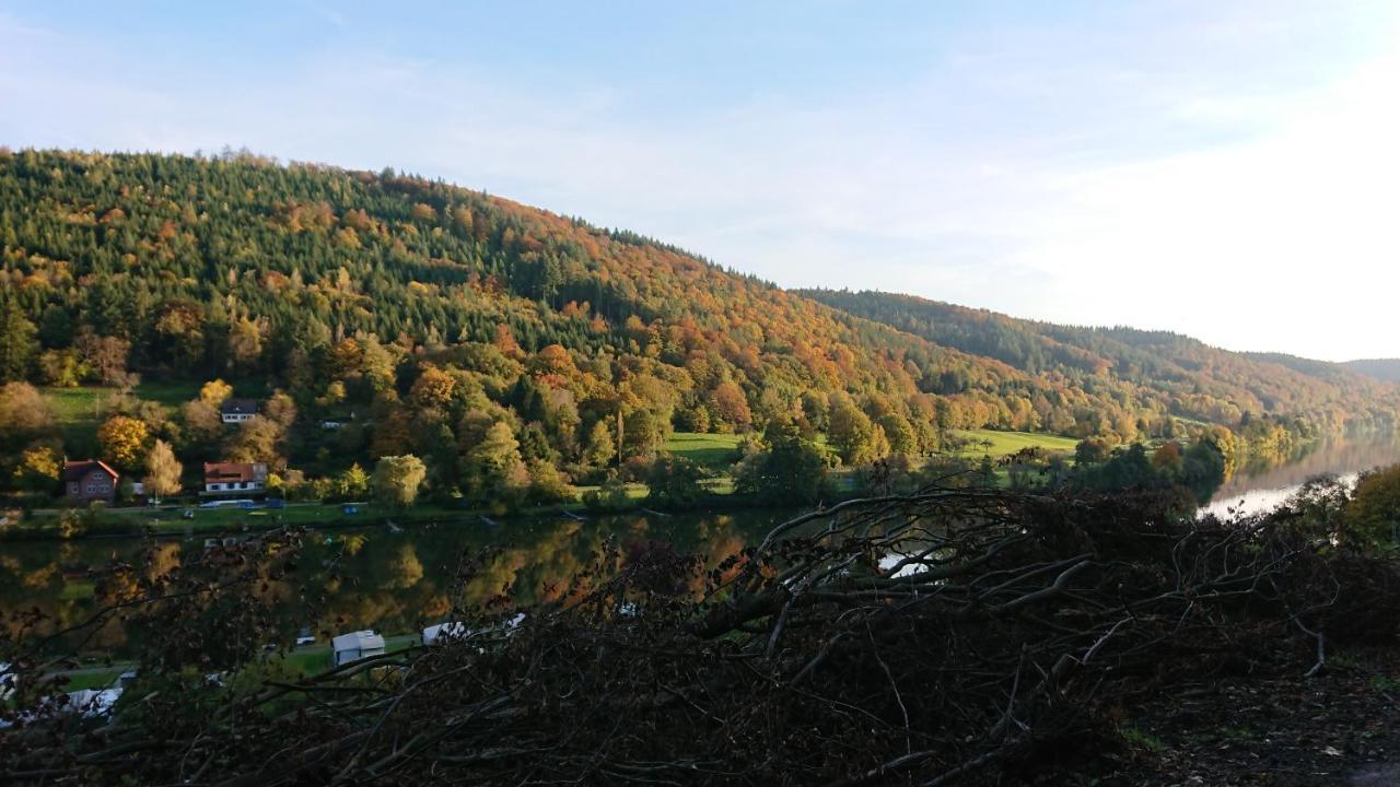 Fewo Am Neckarsteig Mit Anbindung An Heidelberg เนคคาร์ชไตนัค ภายนอก รูปภาพ