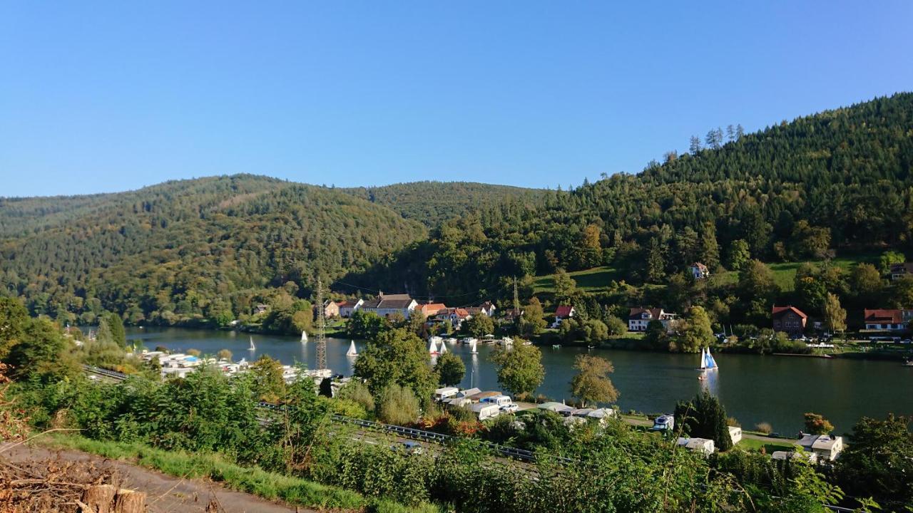 Fewo Am Neckarsteig Mit Anbindung An Heidelberg เนคคาร์ชไตนัค ภายนอก รูปภาพ